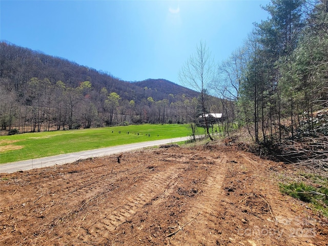 300 Shining Rock Dr Unit 25, Canton, NC 28716