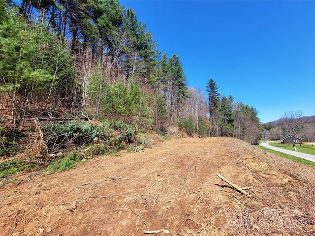 300 Shining Rock Dr Unit 25, Canton, NC 28716
