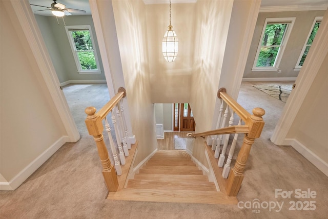 7067 Rocky Falls Rd, Charlotte, NC 28211 - stairs featuring carpet, baseboards, healthy amount of natural light, and ornamental molding