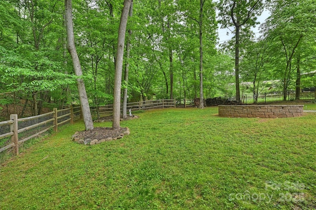 7067 Rocky Falls Rd, Charlotte, NC 28211 - view of yard