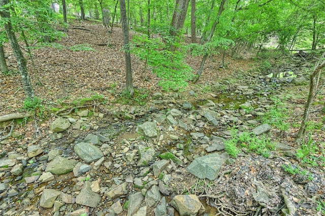 7067 Rocky Falls Rd, Charlotte, NC 28211 - view of undeveloped land