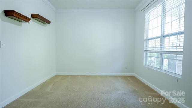 unfurnished room featuring crown molding, light colored carpet, and baseboards