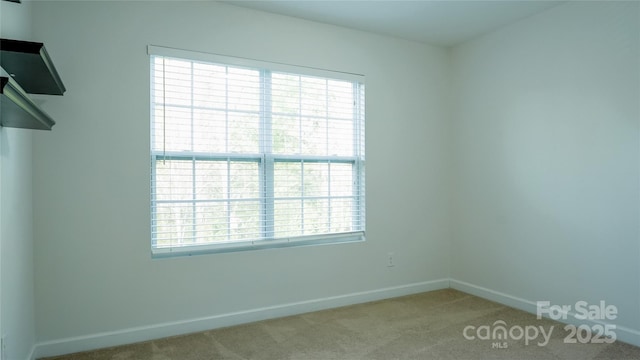 spare room with baseboards and light colored carpet