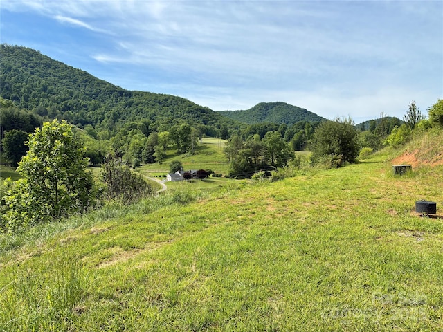 41 Hawks Ridge Est Unit 5, Burnsville, NC 28714