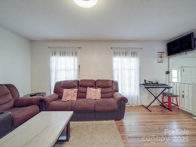 6820 Elm Forest Dr, Charlotte, NC 28212 - living room with a wealth of natural light, a textured ceiling, ornamental molding, and wood finished floors