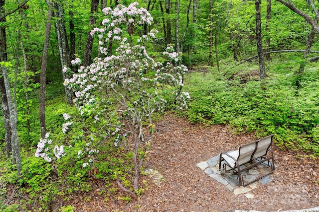 view of home's community featuring a forest view