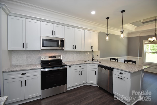6519 Pargo Rd, Charlotte, NC 28216 - kitchen featuring a sink, a peninsula, ornamental molding, stainless steel appliances, and dark wood-type flooring