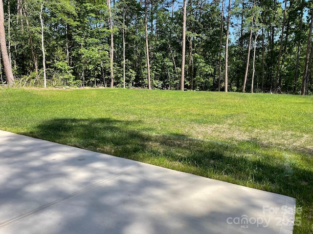 6519 Pargo Rd, Charlotte, NC 28216 - view of yard with a view of trees