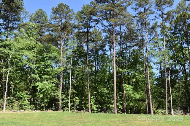 6519 Pargo Rd, Charlotte, NC 28216 - view of nature featuring a forest view