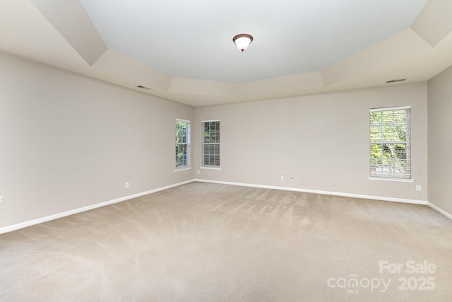 6941 Augustine Way, Charlotte, NC 28270 - unfurnished room featuring baseboards, light carpet, plenty of natural light, and a raised ceiling