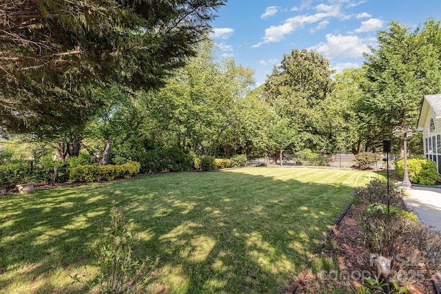 6941 Augustine Way, Charlotte, NC 28270 - view of yard