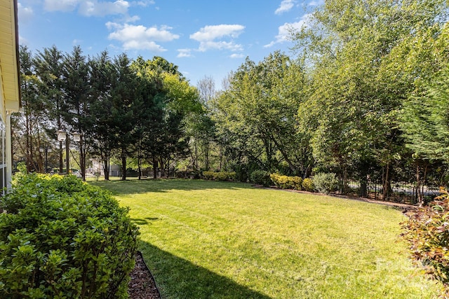 6941 Augustine Way, Charlotte, NC 28270 - view of green lawn