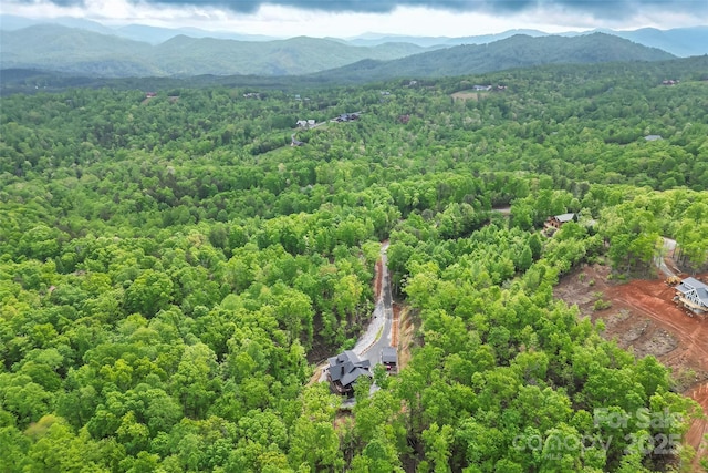 745 Mossy Oak Trl, Nebo, NC 28761 - photo 37