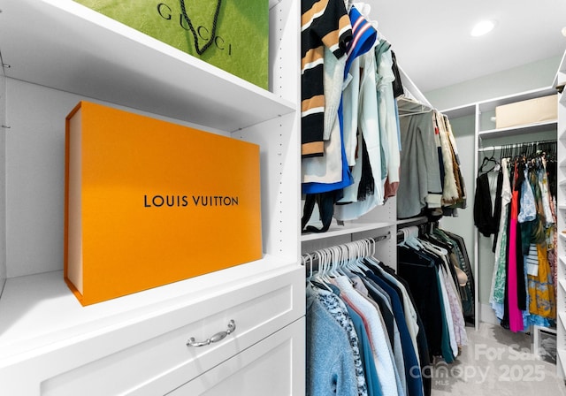 view of spacious closet