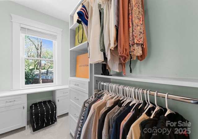 view of walk in closet