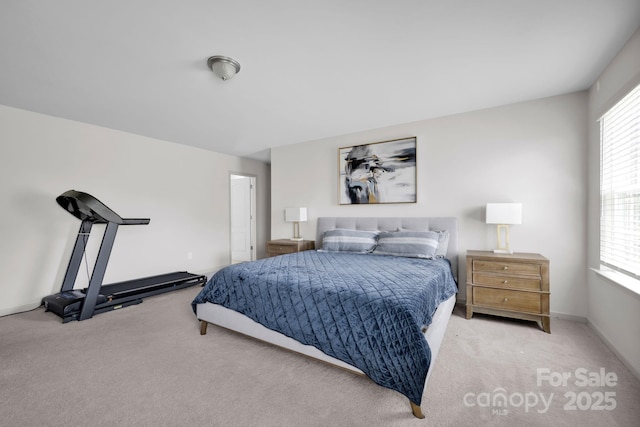 15127 Oleander Dr, Charlotte, NC 28278 - view of carpeted bedroom