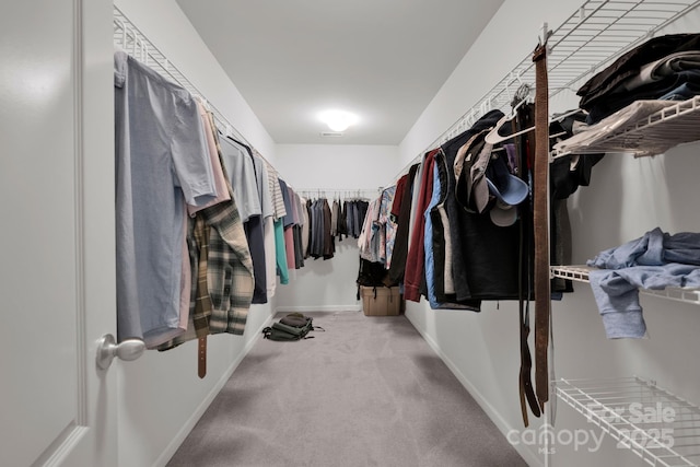 15127 Oleander Dr, Charlotte, NC 28278 - spacious closet with carpet flooring