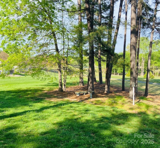 3764 Glenn Oaks Dr, Maiden, NC 28650 - photo 6