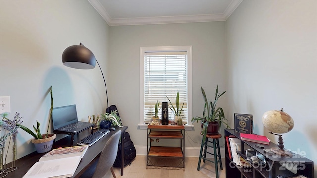 1511 Landis Ave, Charlotte, NC 28205 - photo 9
