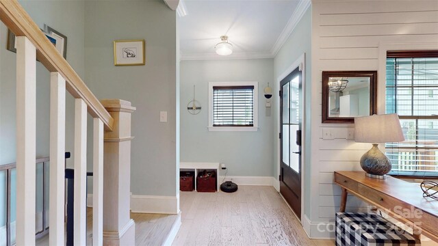 1511 Landis Ave, Charlotte, NC 28205 - photo 10