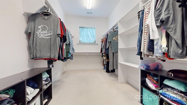 1511 Landis Ave, Charlotte, NC 28205 - photo 14
