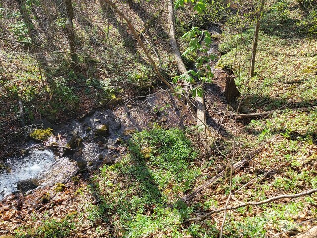 9999 Wayehutta Rd, Cullowhee, NC 28723