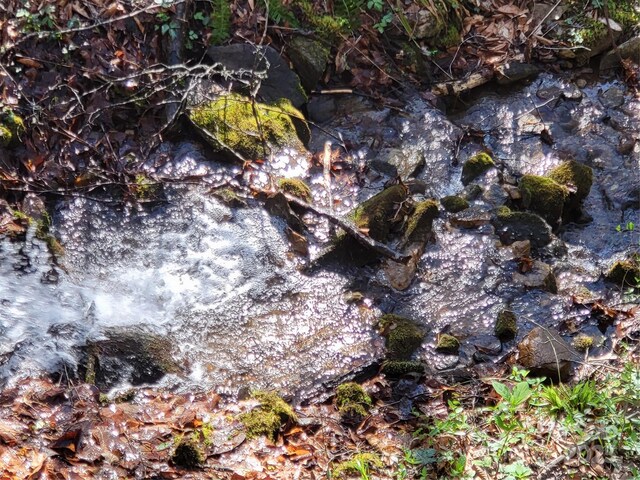 9999 Wayehutta Rd, Cullowhee, NC 28723