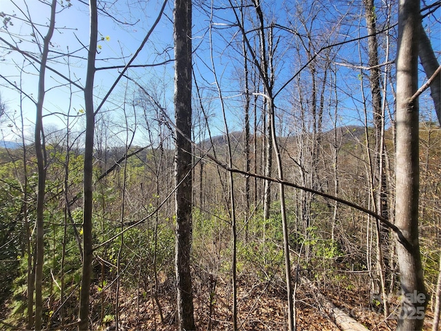 9999 Wayehutta Rd, Cullowhee, NC 28723