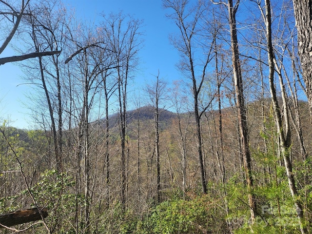 9999 Wayehutta Rd, Cullowhee, NC 28723