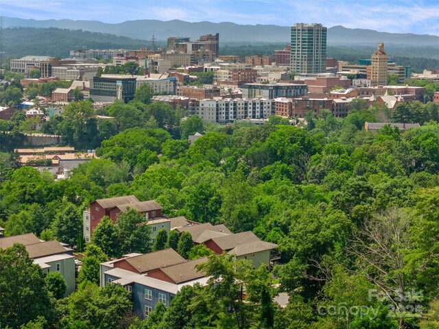 200 N Skyloft Dr Unit 3, Asheville, NC 28801 - photo 40