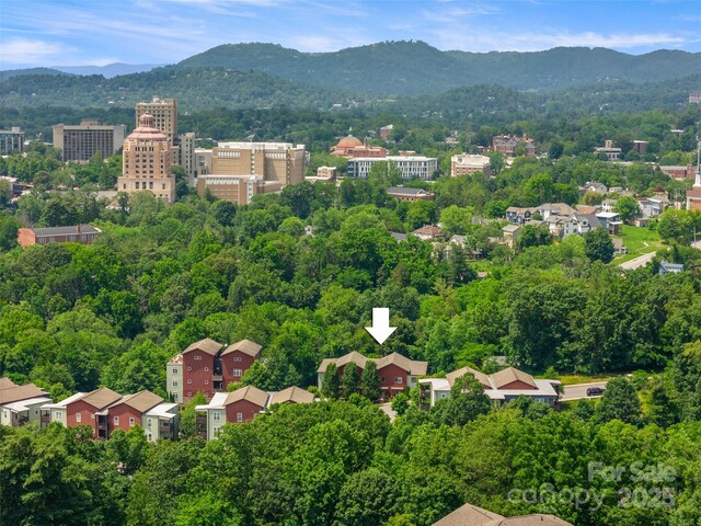 200 N Skyloft Dr Unit 3, Asheville, NC 28801 - photo 41