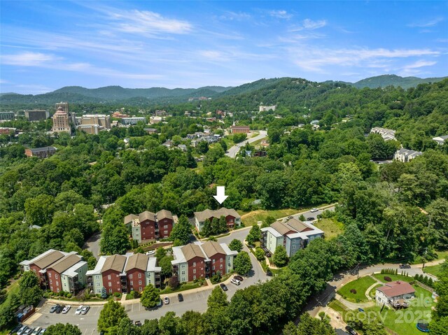 200 N Skyloft Dr Unit 3, Asheville, NC 28801 - photo 42