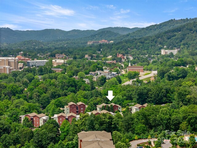 200 N Skyloft Dr Unit 3, Asheville, NC 28801 - photo 43