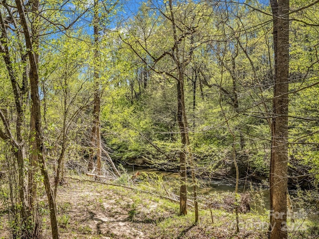 147 Cove Hollow Rd, Rutherfordton, NC 28139 - view of landscape