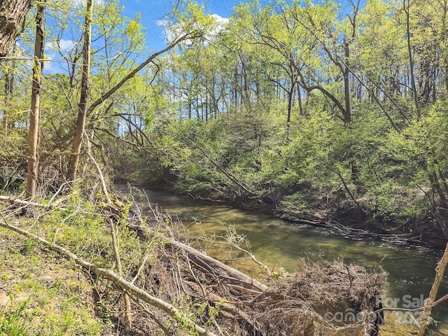147 Cove Hollow Rd, Rutherfordton, NC 28139 - view of local wilderness