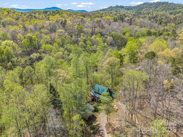 147 Cove Hollow Rd, Rutherfordton, NC 28139 - aerial view with a mountain view and a view of trees