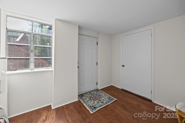 foyer entrance featuring wood finished floors