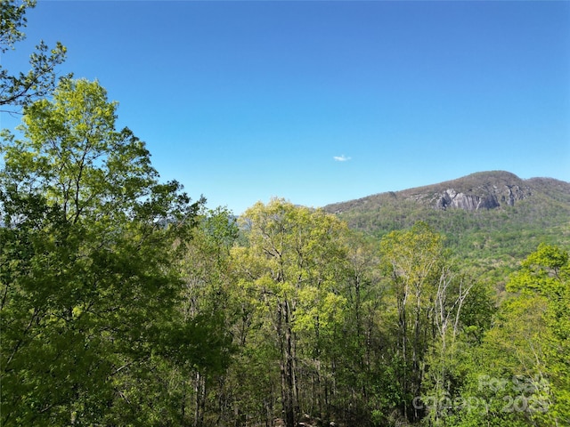 138 Estates Rd, Lake Lure, NC 28746 - photo 3
