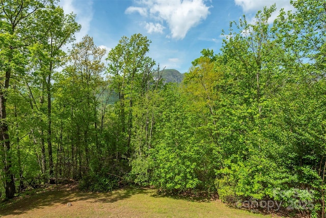 138 Estates Rd, Lake Lure, NC 28746 - photo 17