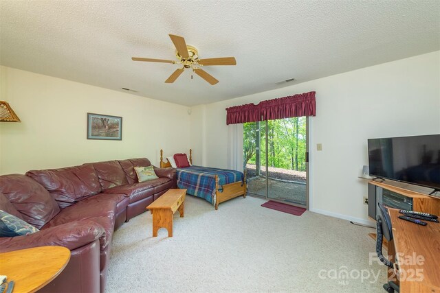 138 Estates Rd, Lake Lure, NC 28746 - photo 23