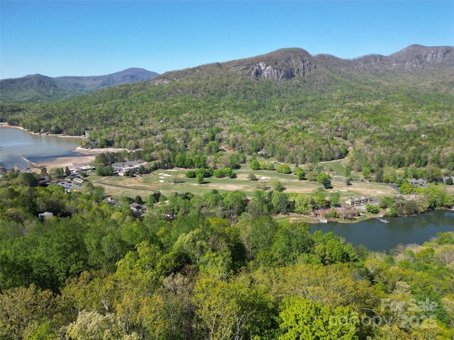 138 Estates Rd, Lake Lure, NC 28746 - photo 32