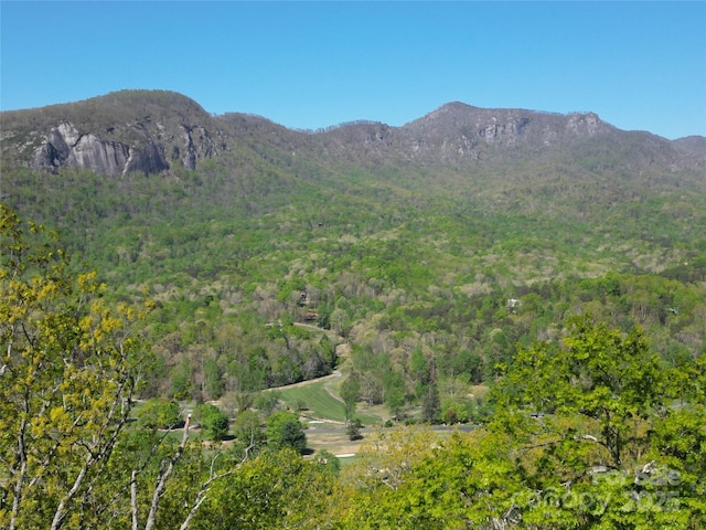 138 Estates Rd, Lake Lure, NC 28746 - photo 33