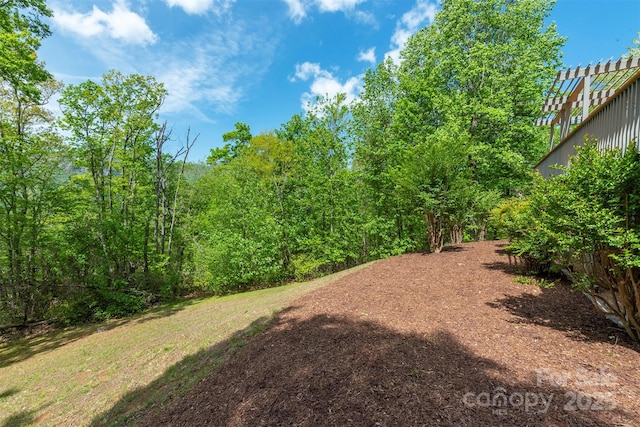 138 Estates Rd, Lake Lure, NC 28746 - photo 34