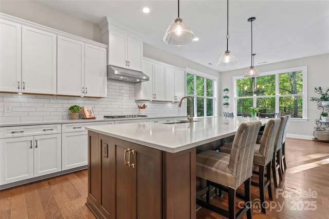 4012 Brandywine Ter, Lancaster, SC 29720 - kitchen with light wood-type flooring, decorative backsplash, under cabinet range hood, and a sink