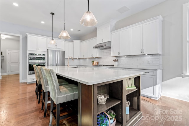 4012 Brandywine Ter, Lancaster, SC 29720 - kitchen featuring tasteful backsplash, open shelves, a sink, appliances with stainless steel finishes, and under cabinet range hood