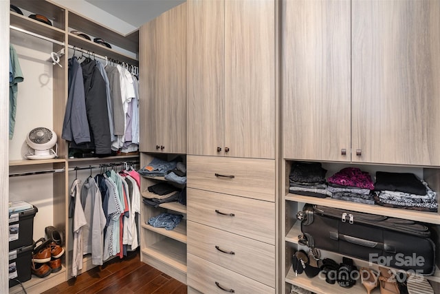 3028 Quinebaug Rd, Fort Mill, SC 29715 - spacious closet with dark wood-type flooring