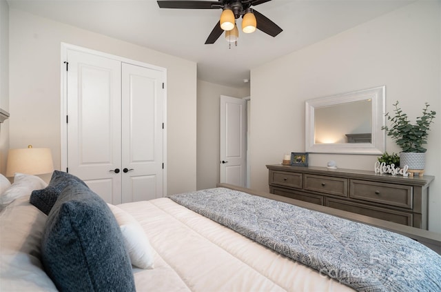3028 Quinebaug Rd, Fort Mill, SC 29715 - bedroom with a closet and a ceiling fan