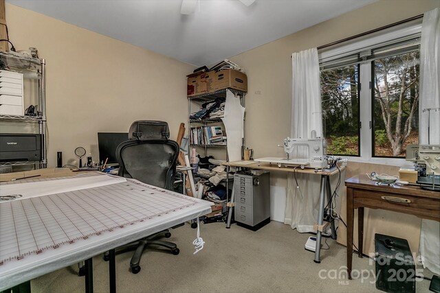 104 Parkway Ct Unit 1, Asheville, NC 28803 - home office with a ceiling fan and carpet floors