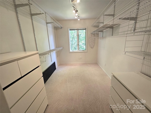 124 Cardinal Rd, Lake Lure, NC 28746 - spacious closet with carpet floors