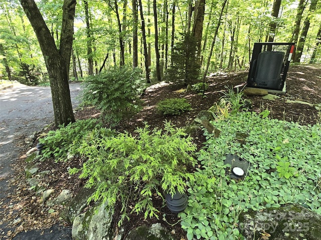 124 Cardinal Rd, Lake Lure, NC 28746 - view of nature
